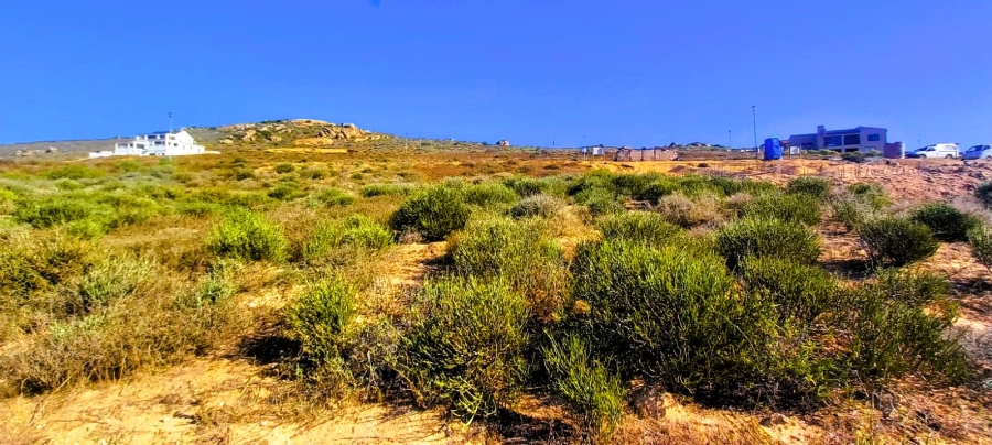 0 Bedroom Property for Sale in Steenbergs Cove Western Cape
